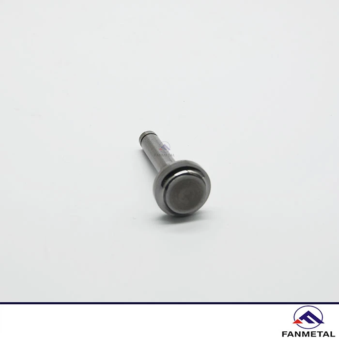 Tungsten Carbide Rivet